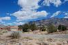 11611 Wilshire, Albuquerque NM 87122