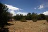 20 Ethel Sandline, Sandia Park NM 87047